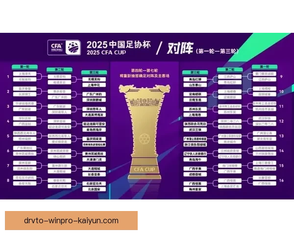 中超强队排行展现各队近期表现，竞争力逐步增强