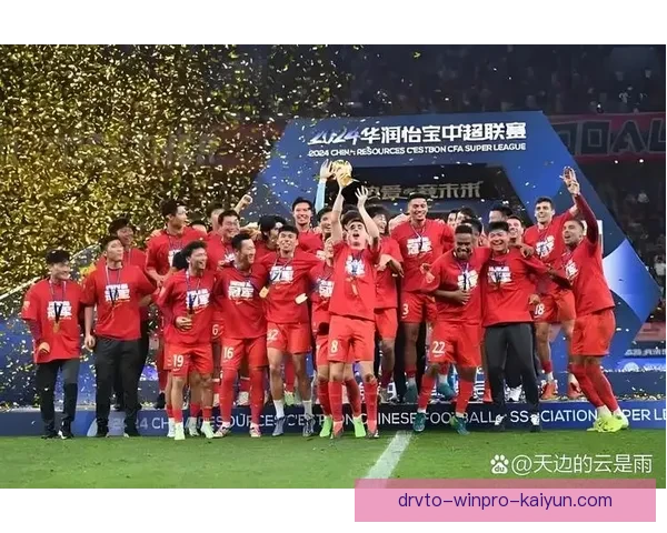 中超年度总结：球队表现与排名数据分析，赛季走势清晰。